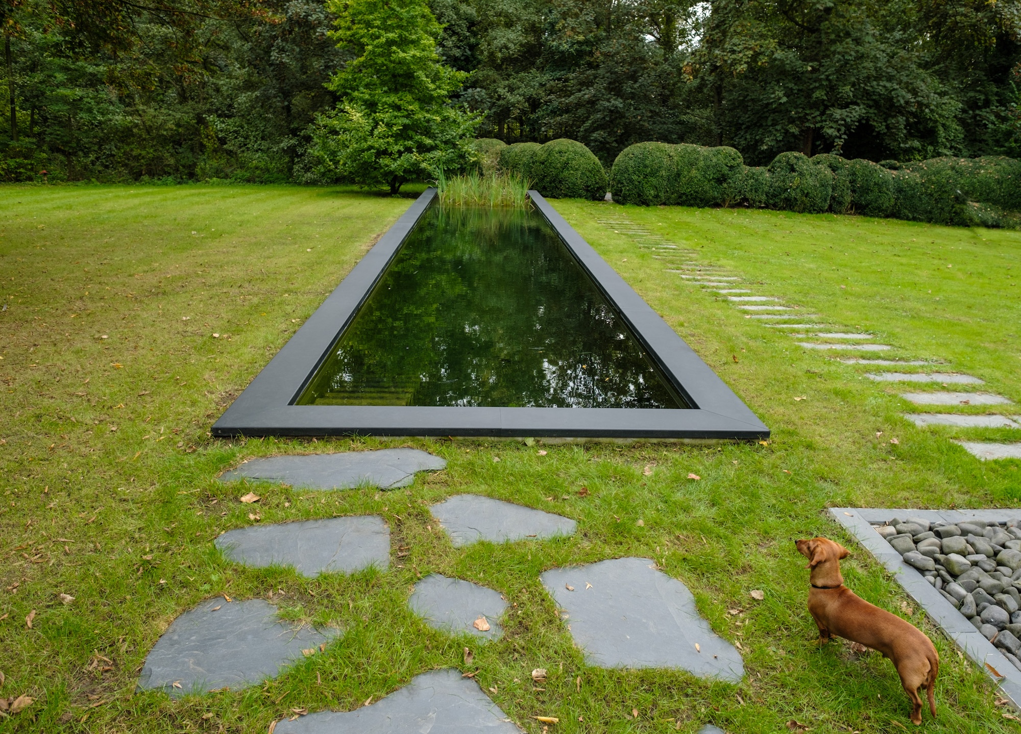 Driehoekige zwarte spiegelvijver met natuurstenen pad